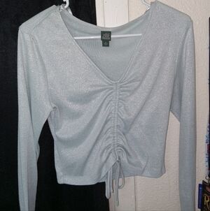 Wild Fable Shimmering Silver Ruched Blouse